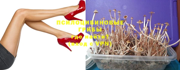 гашик Зерноград