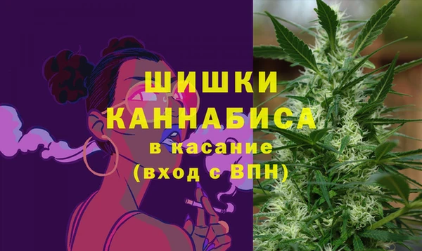 гашик Зерноград