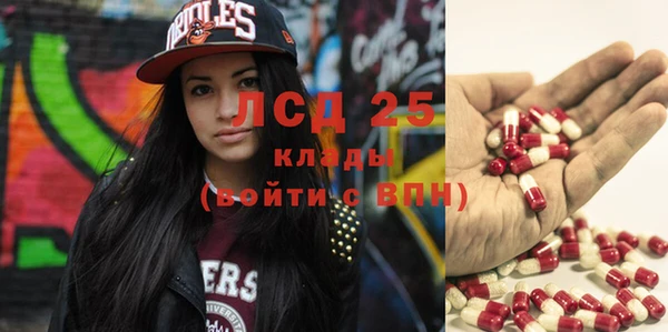 тгк Каменногорск