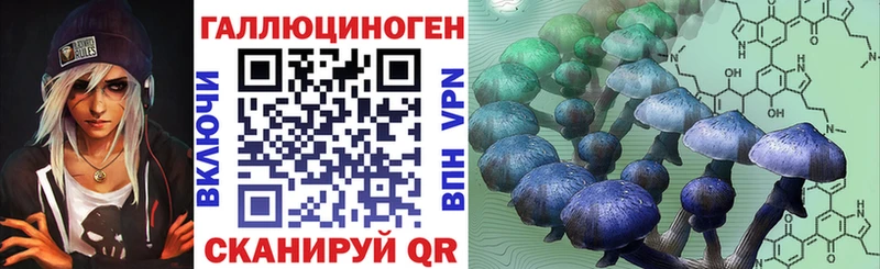 Купить закладки  Сафоново  Псилоцибиновые грибы Psilocybe 